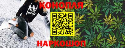прущие крисы Гатчина