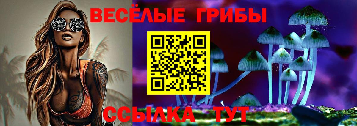 Галлюциногенные грибы Psilocybe Наро-Фоминск